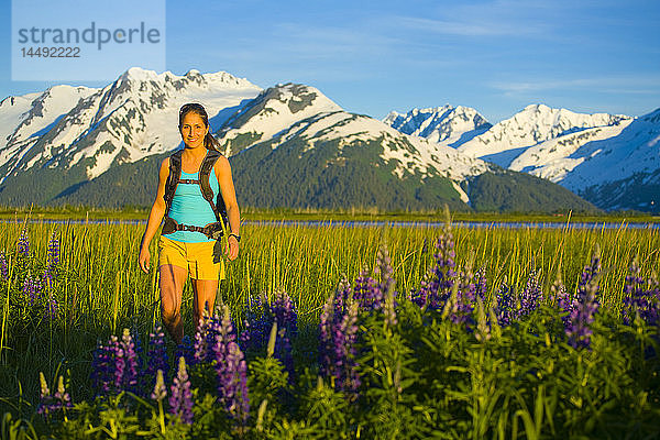 Frau beim Wandern auf einer Lupinenwiese in der Nähe des Twentymile River entlang des Turnagain Arm in Süd-Zentral-Alaska im Sommer