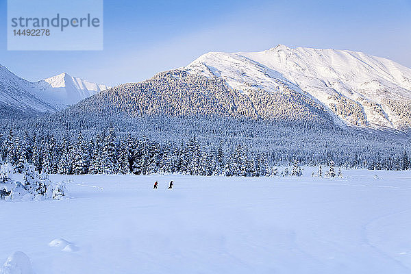 Ein Paar beim Skilanglauf auf einer schneebedeckten Wiese  umgeben von Fichten und den Chugach Mountains in der Nähe von Girdwood in Süd-Zentral-Alaska