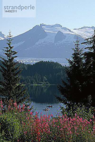 Kajakfahrer Auke Lake Mendenhall Glacier Juneau AK Coast Mtns Fireweed Southeast Summer