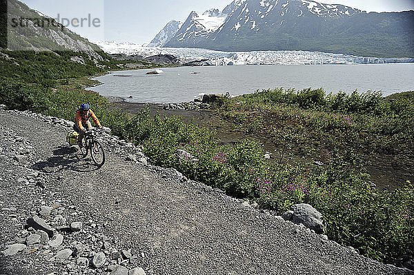 Frau beim Radfahren auf dem Weg zum Spencer Glacier  Chugach National Forest  Kenai Peninsula  Southcentral Alaska  Sommer