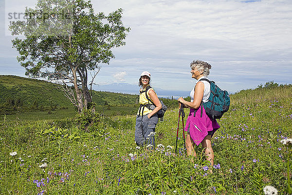 Zwei Wanderinnen auf dem Williwaw-Seenweg im Chugach State Park in der Nähe von Anchorage  Alaska  im Sommer