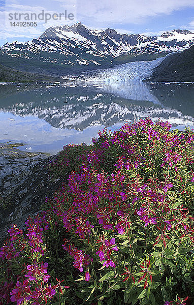 Person Kajakfahren Shoup Bay State Marine Park Prince William Sound Southcentral Alaska Sommer