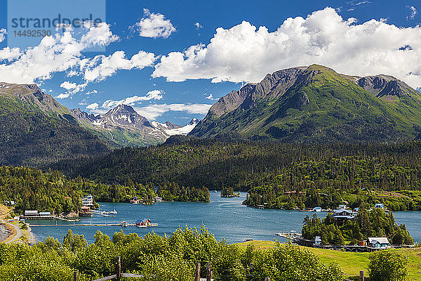 Blick auf Halibut Cove in der Kachemak Bay an einem sonnigen Sommertag  Süd-Zentral-Alaska.