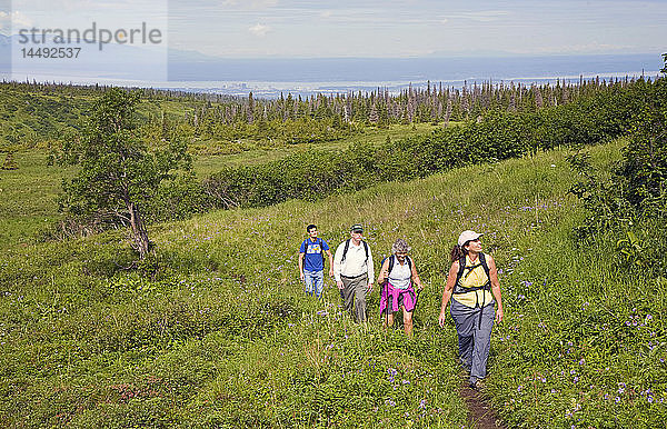 Eine Gruppe von Männern und Frauen wandert im Sommer auf dem Williwaw Lake Trail im Chugach State Park in der Nähe von Anchorage  Alaska