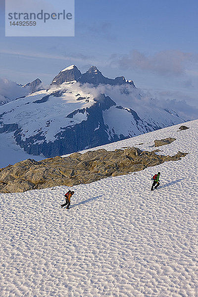 Wanderer klettern in der Nachmittagssonne auf einem Bergrücken über dem Juneau Ice Field  Juneau  Alaska  Tongass National Forest