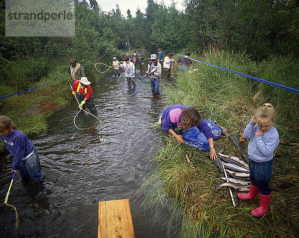 Alaskans Dip Net for Salmon Hidden Creek Kenai NWR AK summer scenic