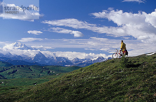 Mountainbiker w/Mt. Mckinley im Hintergrund SC