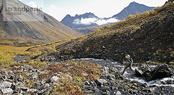 Blick auf eine Rucksacktouristin  die einen Bach auf dem Weg zum Oberlauf des Santucary River überquert  Denali National Park  Interior Alaska  Herbst