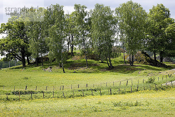 Felder im Naturschutzgebiet