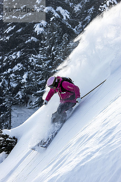 Person beim Skifahren  tiefer Blickwinkel  Schweiz