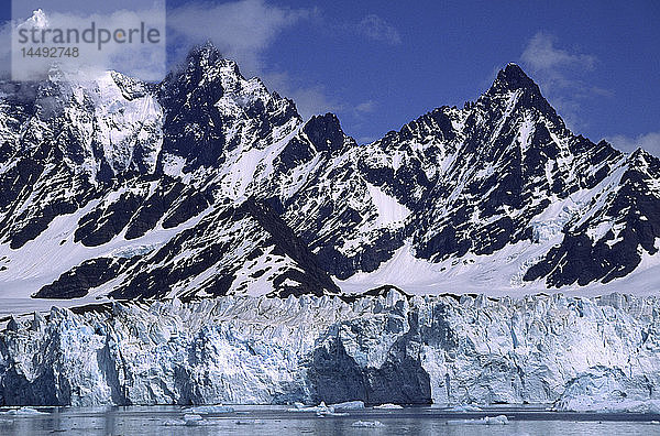Gletscher in Südgorgien