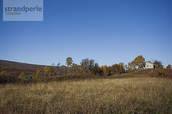 Ländliche Hütte auf dem Feld