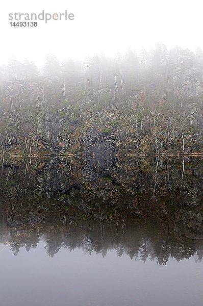 Nebel an einem See  Schweden.
