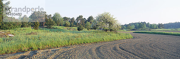 Blick auf das Feld