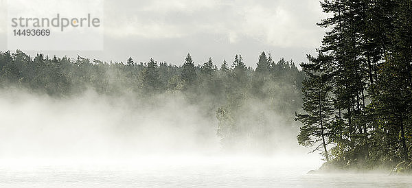Nebel und ein See  Schweden.