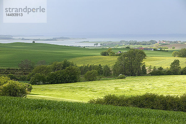 Agrarlandschaft  Jylland  Dänemark.