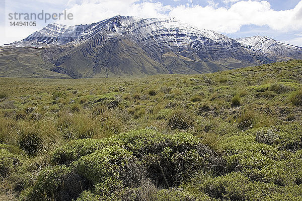 Berg und Steppe  Patagonien  Argentinien.