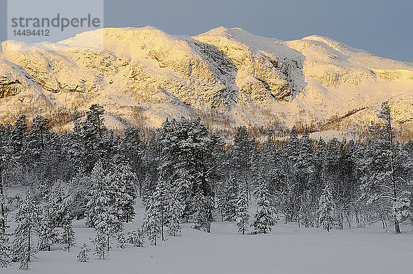 Wald und Berg in Winterlandschaft  Norwegen.