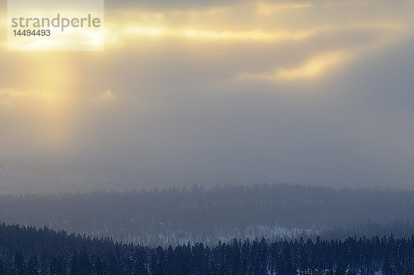 Wald und Berge  Norwegen.