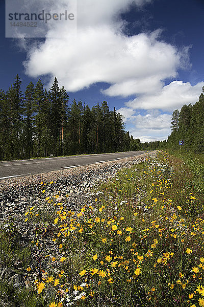 Landstraße  Norrbotten  Schweden.