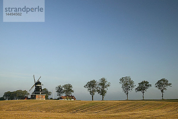 Windmühle und Bäume an einem Feld  Schweden.