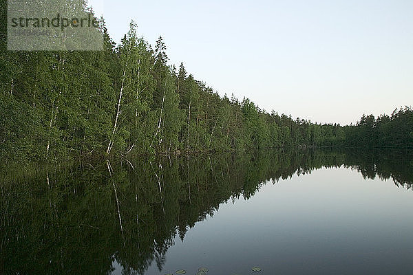 Ein See in einem Wald  Schweden.