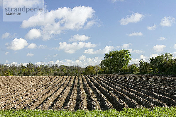 Frisch gepflügtes Feld  Schweden.