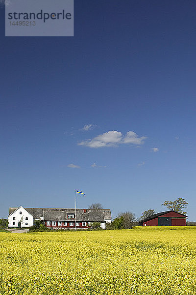 Ein Bauernhof in der Agrarlandschaft.