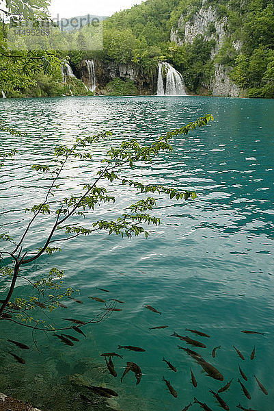 Wasserfälle in einem Nationalpark  Kroatien.
