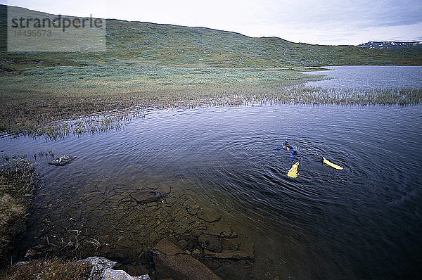 Ein Mann taucht in einem See  Lappland  Schweden.