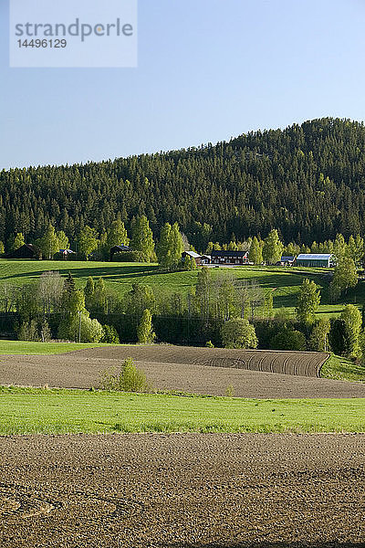 Kulturlandschaft  Schweden.