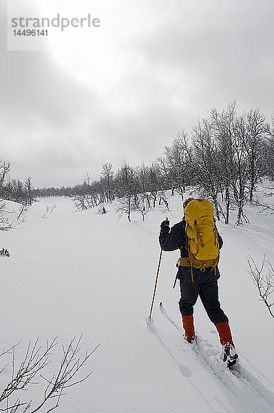 Langstrecken-Skifahren in verschneiter Landschaft  Schweden.