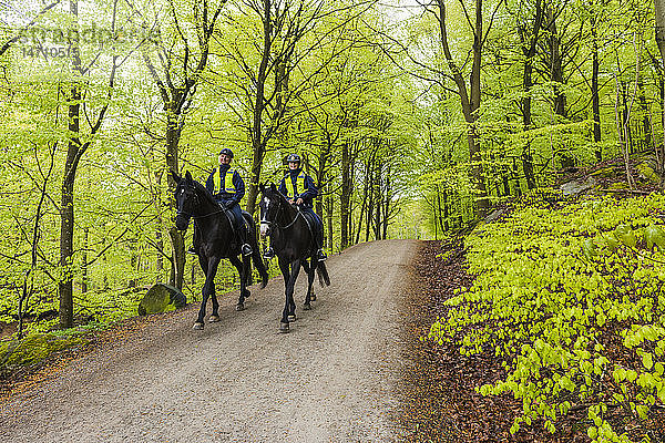 Polizistinnen auf Pferden im Wald