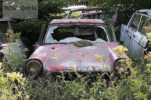Alte verlassene Autos