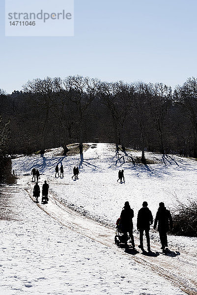 Silhouetten von Menschen  die im Winter spazieren gehen