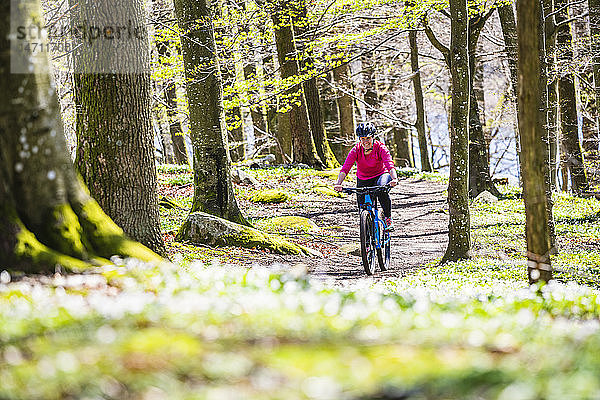 Radfahrer im Frühlingswald