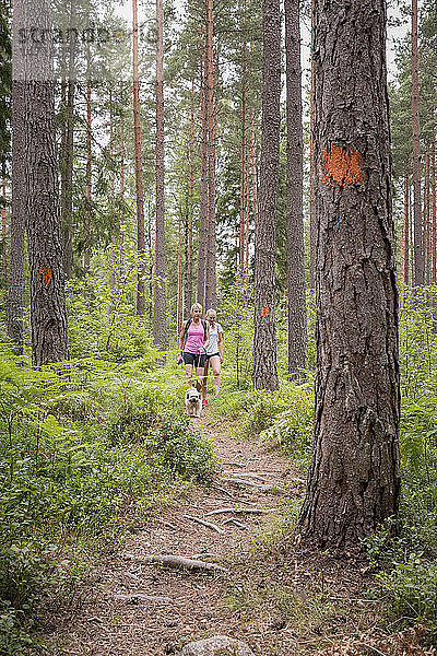 Teenager-Mädchen wandern durch den Wald
