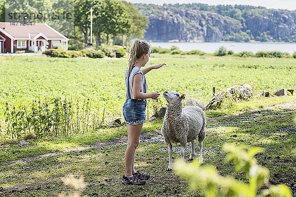 Mädchen mit Schaf