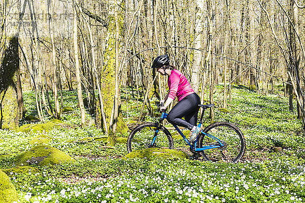 Radfahrer im Frühlingswald