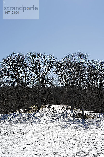 Silhouette einer Person  die im Winter spazieren geht
