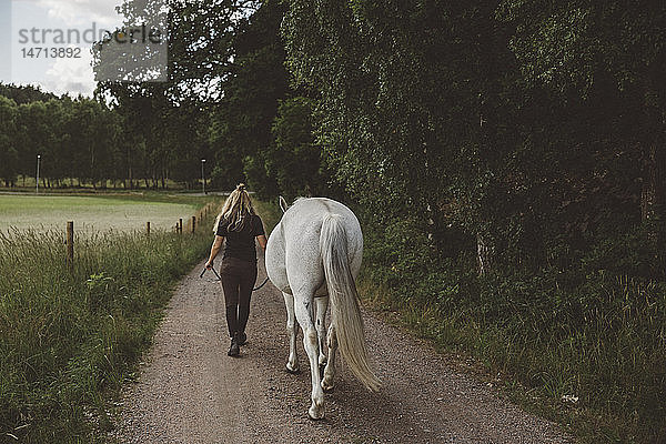 Frau geht mit Pferd die Straße entlang