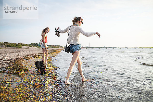Junge Frauen gehen mit Hunden am Strand spazieren