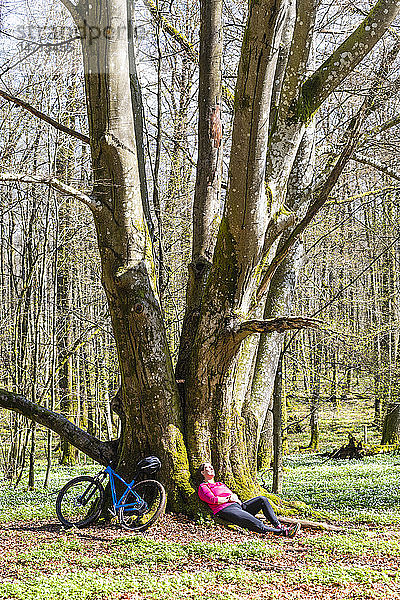 Radfahrer rastet im Wald