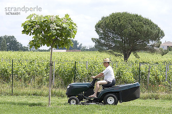 ÄLTERE MENSCHEN BEI DER GARTENARBEIT