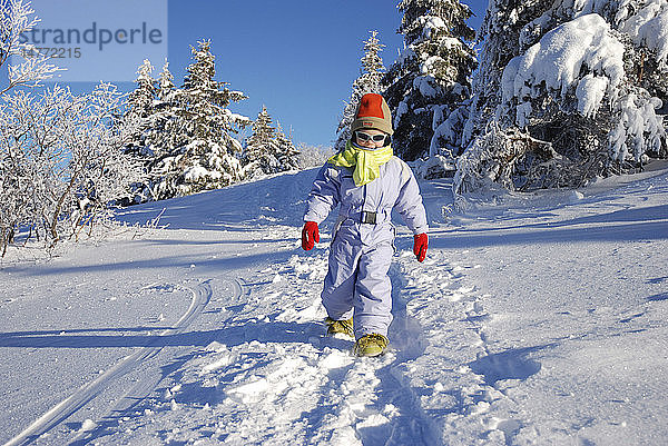 WINTER-SPORTARTEN