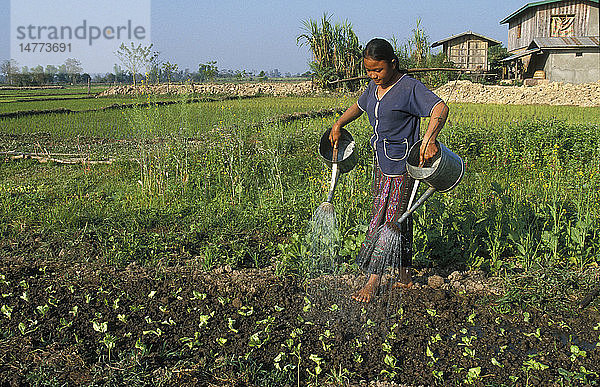 IRRIGATION