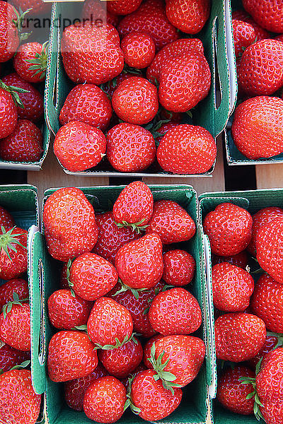 Frische Stawberries auf einem Straßenmarkt.
