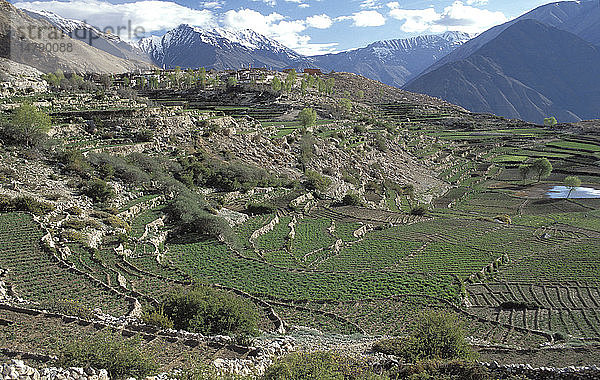 HIMACHAL PRADESH  INDIEN