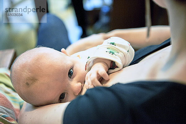 Reportage über eine Hebamme in Lyon  Frankreich. 3 Monate altes Baby  das von seiner Mutter gesäugt wird.