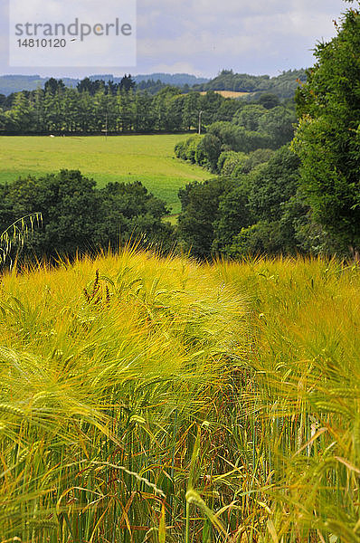 BIO-STADTGEREICH